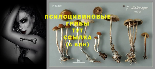 круглые Вяземский