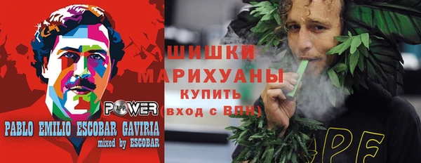 круглые Вяземский