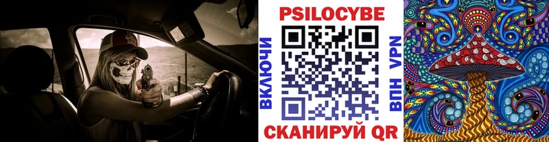 Купить где  Сергач  Псилоцибиновые грибы Magic Shrooms 
